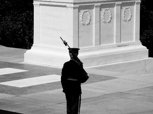 tomb of unknown soldier guard